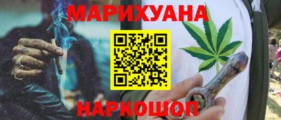 сатива Коммунар