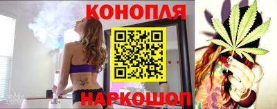 сатива Коммунар