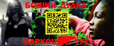 сатива Коммунар