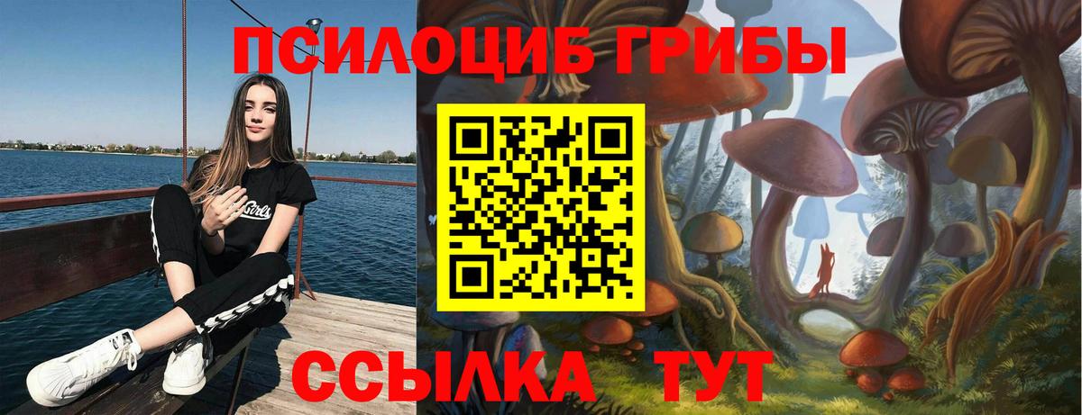 Галлюциногенные грибы прущие грибы Егорьевск